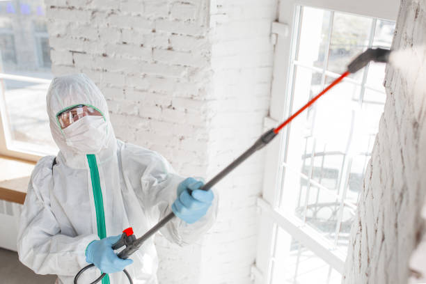 Best Black Mold Removal  in Oak Hill, FL