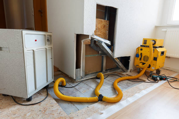 Best Mold Removal for HVAC Installations  in Oak Hill, FL